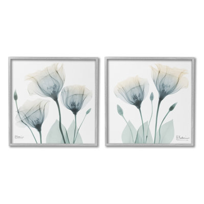 "Cadre de photo tulipe opaque en herbe" par Albert Koetsier, 2 pièces sur toile