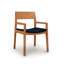 Iso Microsuede Arm Chair-61624268-61624282
