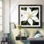 " Midnight Magnolia I "-62727054-62727055