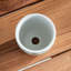 Pashia Handmade Ceramic Planter