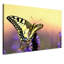 Print on Canvas-23990853