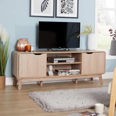 Udall 2 Door TV Entertainment Stand with Storage