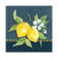 «Blue Lemon Squeeze II» par Carol Robinson, impression sur toile tendue-55900744-75085943