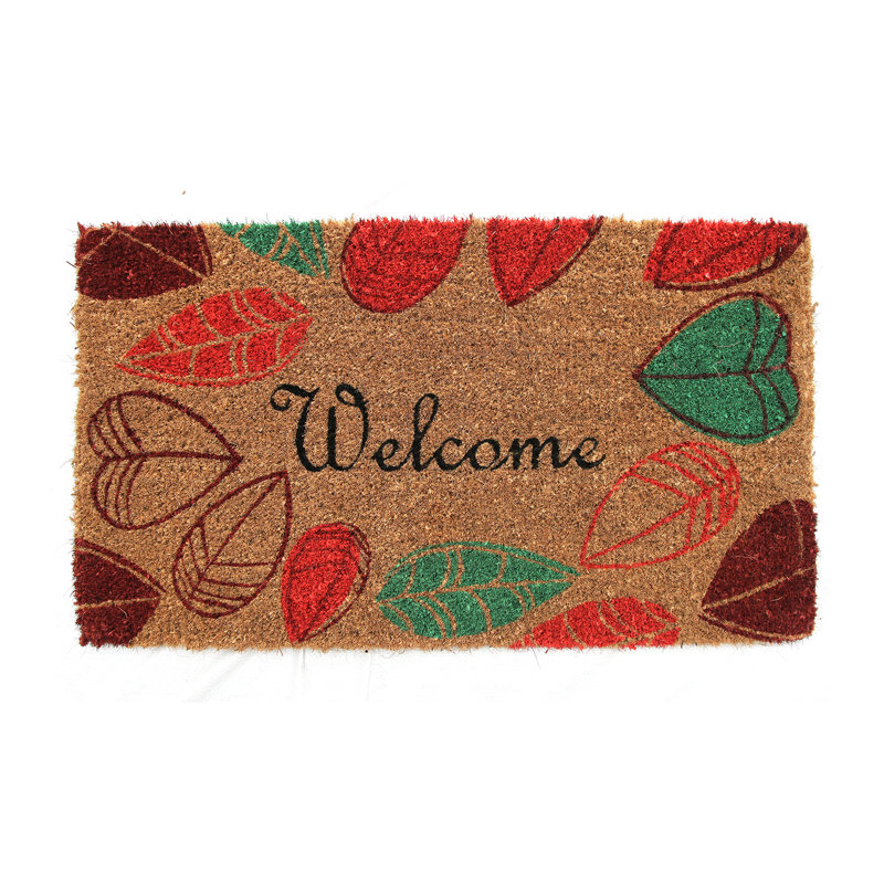 Haleburg Non-Slip Indoor Doormat