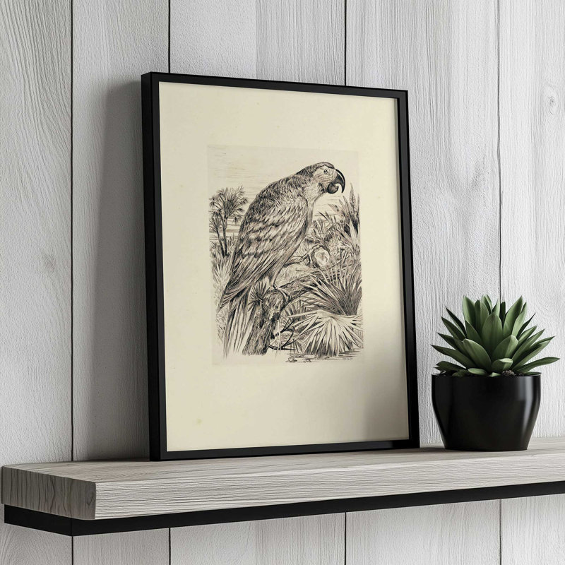 Illustration de perroquet par Stellar Design Studio, reproduction d'art, L 18 po x H 24 po, Impression encadrée, Blanc
