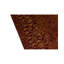 Wool Oriental Area Rug in Wine/Gold