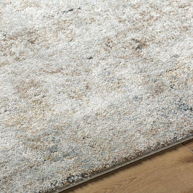 Puccio Abstract Indoor Rug, Rectangle 2' x 2'11"