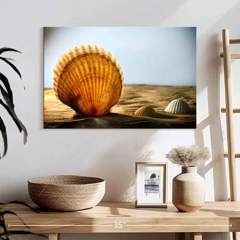 Sand seashells Aletra