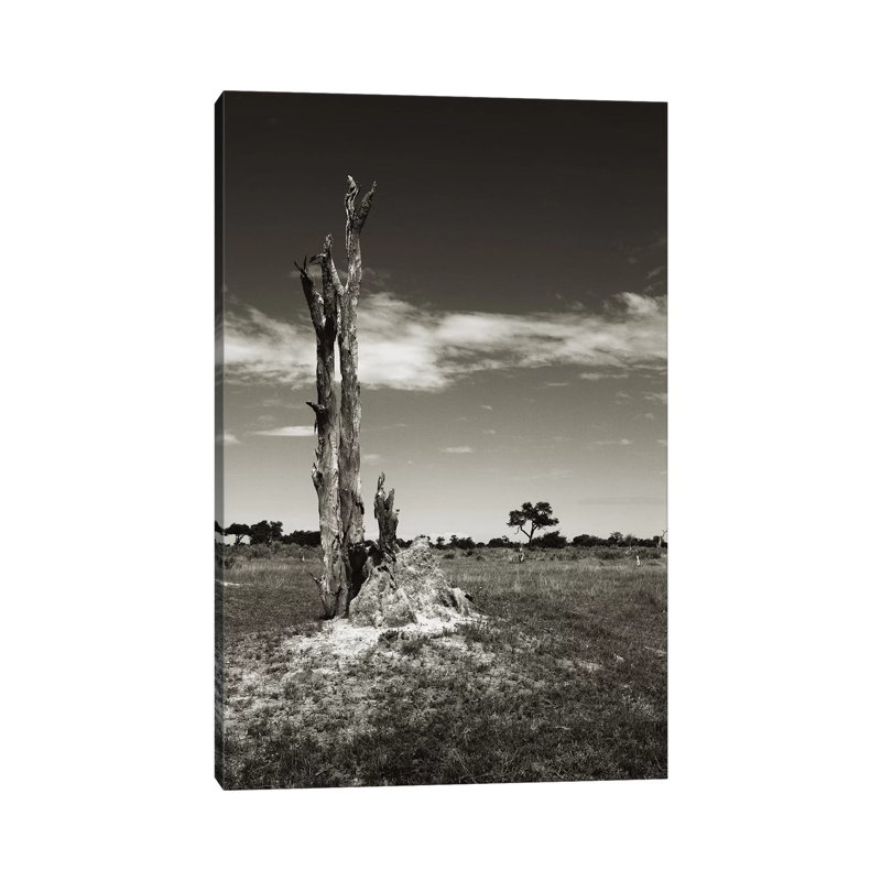 B And W Termite Hill by Klaus Tiedge - Wrapped Canvas Print, 20.32 cm H x 30.48 cm W