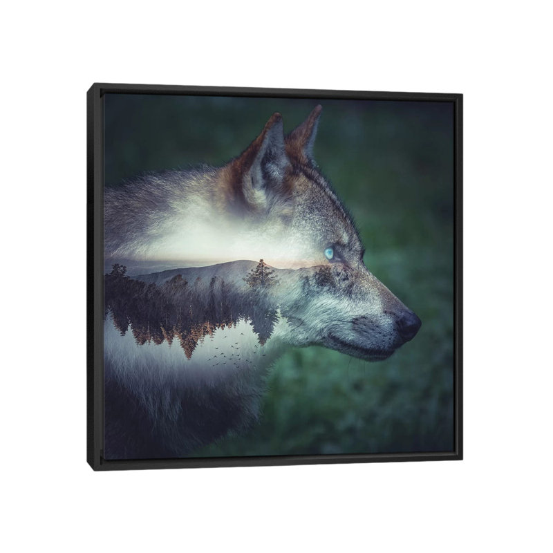 Wolf by Paul Haag - Print on Canvas, Black Framed, 45.72 cm H x 45.72 cm W