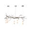 Decicco 5 - Light Chandelier