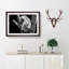 Koala Bear Resting in a Tree - Picture Frame Photograph Print-55609585-55609584