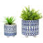Ceramic Pot Planter