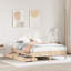 Storage Bed-124964300-124964303