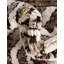 Tapis Union Rustic Hermitage-1995014354