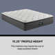 Beautyrest Silver BRS900 Plush Pillow Top 15.25" Innerspring Mattress and Box Spring Set