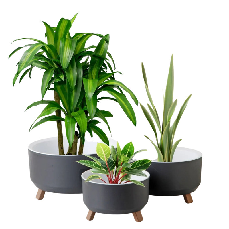 Ensemble de 3 pots à fleurs en plastique pour plantes avec trou de drainage Ginza Maison , Gris
