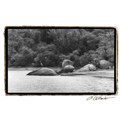 Serene Lake II 2855466