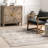 Aitana SpinClean Floral and Paisley Machine Washable Area Rug-329979226