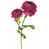 Mauve est en rupture de stock