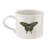Portmeirion Botanic Garden Harmony Brkfst C&S Emb 9Oz Forest Grn