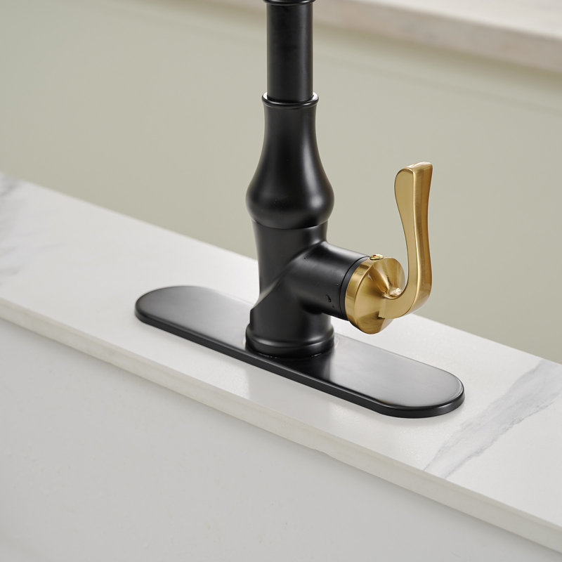 VIBRANTBATH Kitchen Faucet, Matte Black/Gold, 1.2 GPM