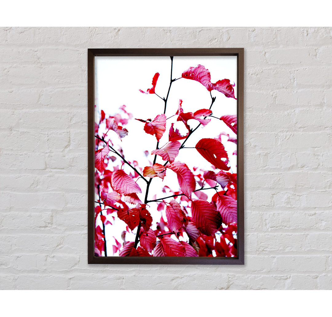 Leaves In Autumn Framed - Single Picture Frame Kunstdrucke auf Leinwand