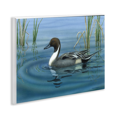  Pintail Loon in Pond Wall Plaque Art by Valerie Rogers