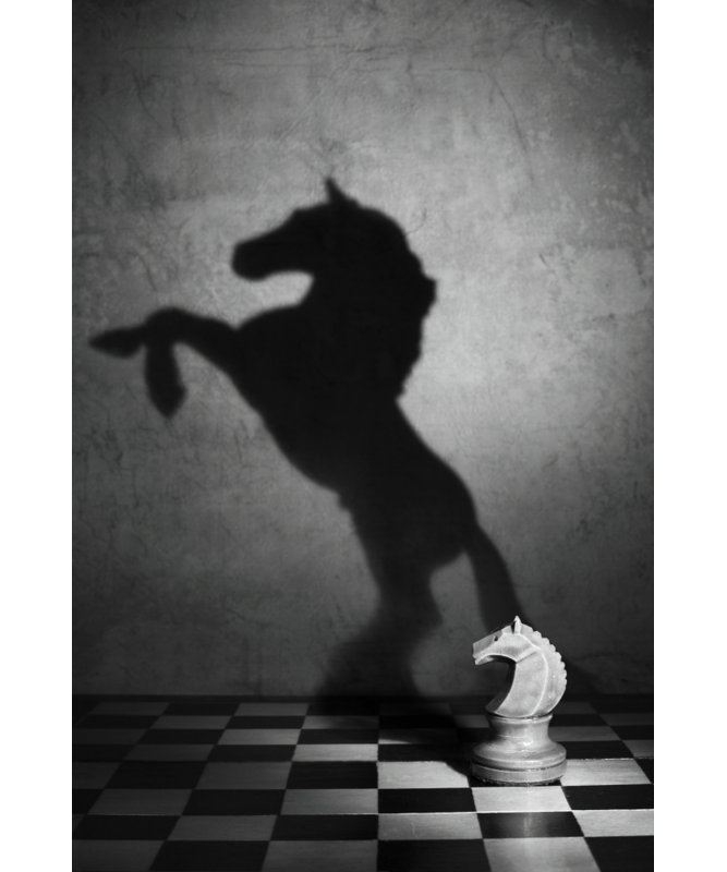 Wrapped Canvas Print, 76.2 cm H x 50.8 cm W