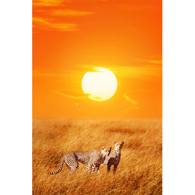 Naila Cheetahs Against Sunset, Tanzania - Wrapped Canvas Print