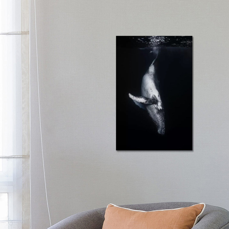 Black Whale 1 Piece Wrapped Canvas Wall Art, 66.04 cm H x 45.72 cm W x 1.91 cm D