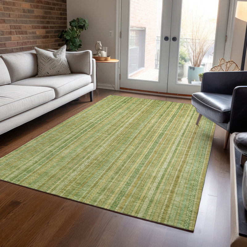 Tapis intérieur / extérieur lavable à la machine Claudian ACN1655, Rectangle 10 pi x 14 pi