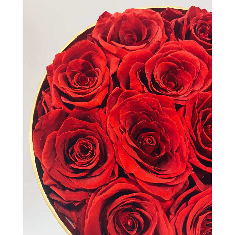 Preserved Natural Rose Rose Arrangement in Pot, Red