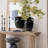 10" H Rustic Terracotta Black Vase with Handles