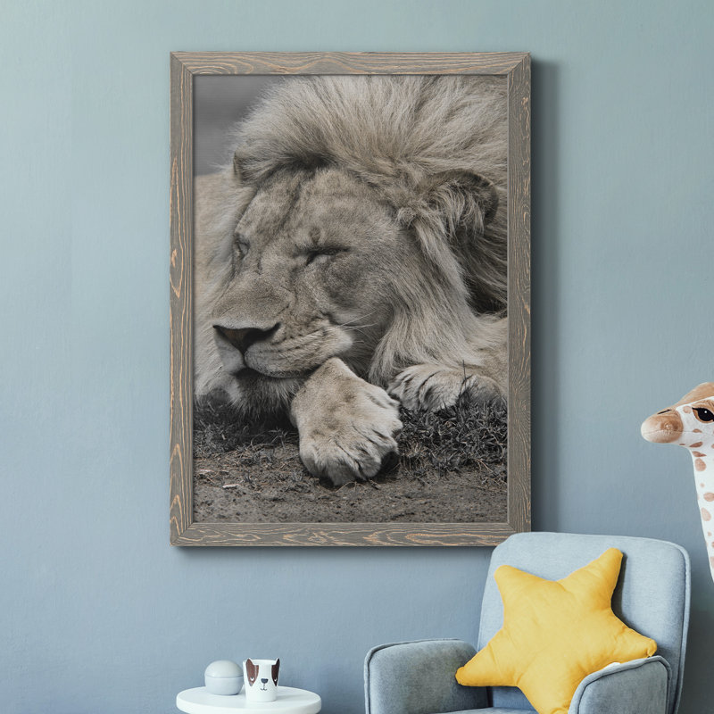 Sleepy Af après-midi au Masai Mara - Photographie de cadre photo sur toile, H 31,5 po x l 23,5 po x P 1,5 po, Encadré gris