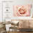 Harnek Peach Pink Rose