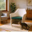 Fauteuil d'appoint rembourré en tissu d'ameublement de style moderne Mid-Century 2 en 1 Pet Furniture