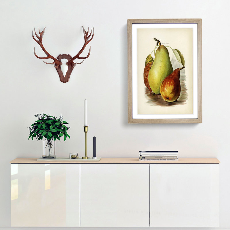 A Vintage Illustration of Pears - Framed Print, 36cm H x 27cm W x 2cm D, Oak Framed