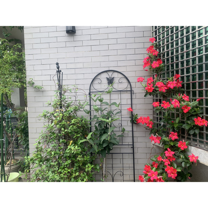 Treillis de jardin en métal