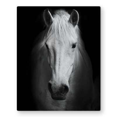 Monochrome Horse - Gray Metal Print for Home Decor | Art