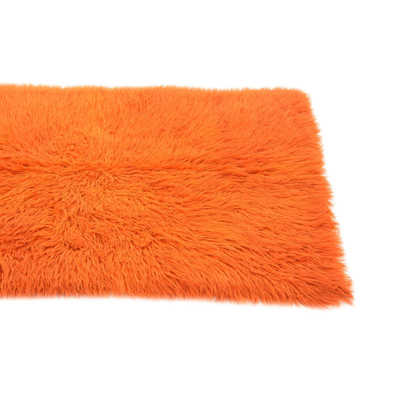 Noack Orange Rug