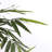 150cm Bamboo Tree in Pot