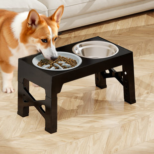 Elevated Feeder