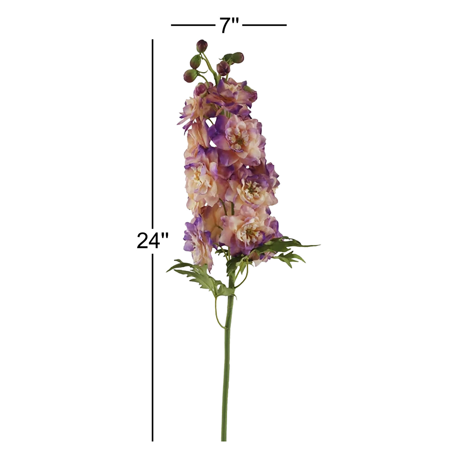 DELPHINIUM SHORT STEM