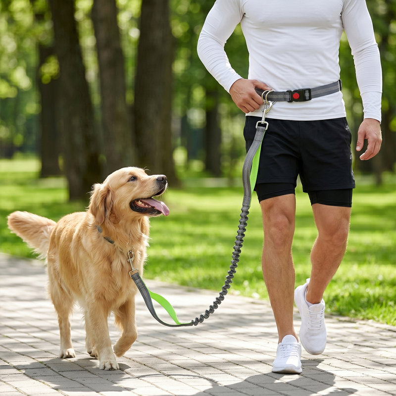Hands-Free Elastic Dog Leash with Adjustable Waistband, Durable Reflective Design & Breathable Mesh Fabric for Dog Walking, Jogging, Breathability