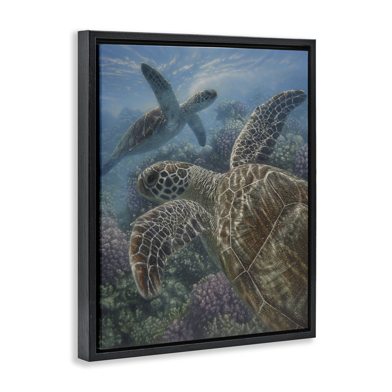 Turtle Bay sur un cadre flottant de récif, design par Collin Bogle, Cadre flottant noir de jais, H 21 po x l 17 po