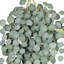 Eucalyptus artificiel en argent artificiel