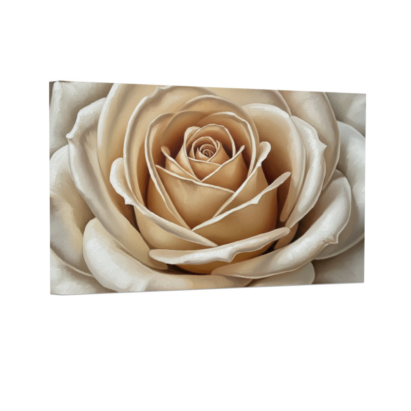 Plantes et fleurs, rose blanche, gros plan, imprimé floral, H 16 po x l 24 po