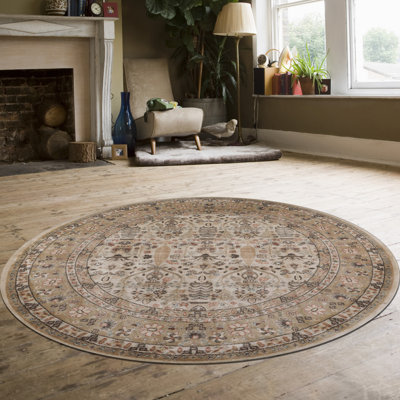 Oriental Indoor Rug
