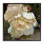 Giclée sur fond de fleurs blanches à volants par Katie Swatland-741638777-741638783